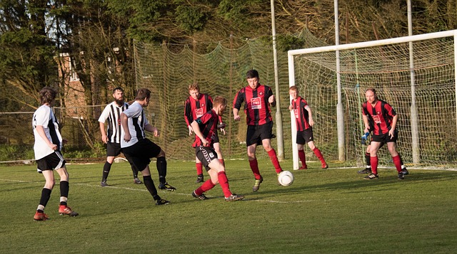 主优化词：米德尔斯堡主场坚若磐石，豪取四连胜